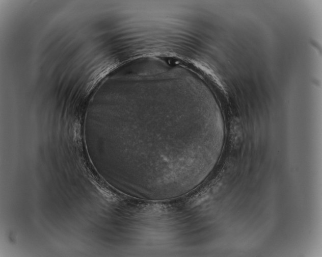 X0000091290881200708241027