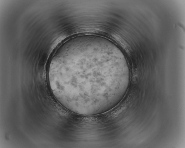 X0000091290883200708241027