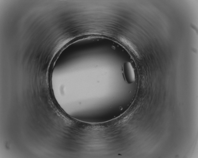 X0000091290884200708241026