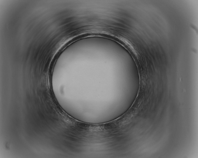 X0000091290887200708241026