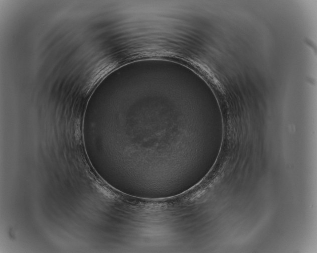 X0000091290889200708241026