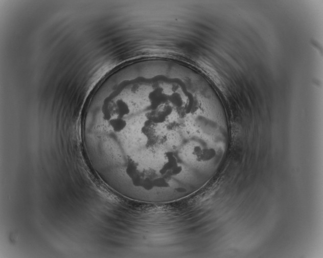 X0000091290891200708241026