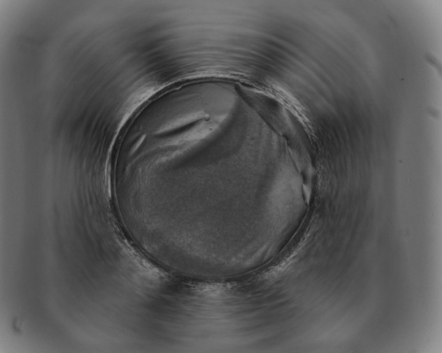 X0000091290892200708241026