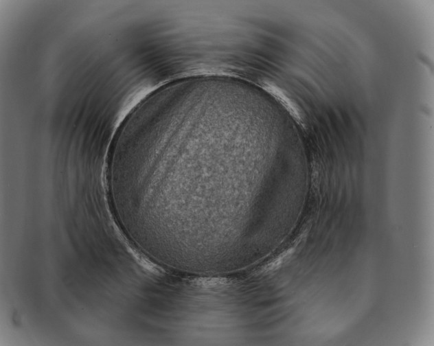 X0000091290893200708241026