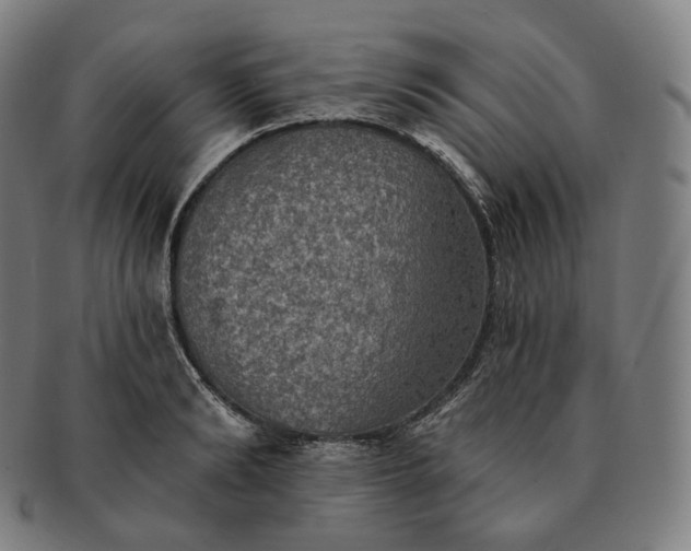 X0000091290894200708241026