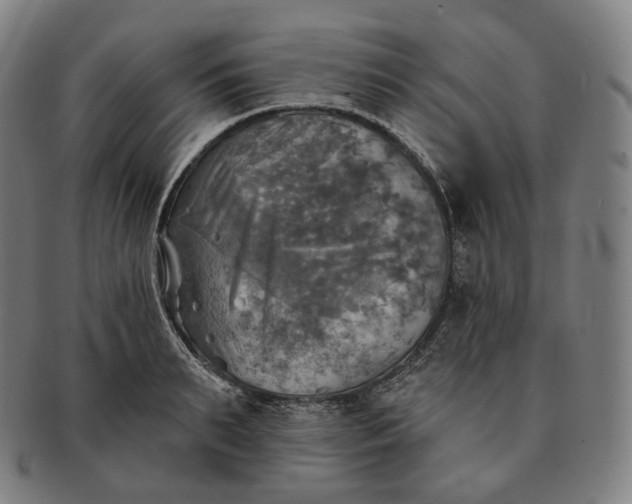 X0000091290895200708241026