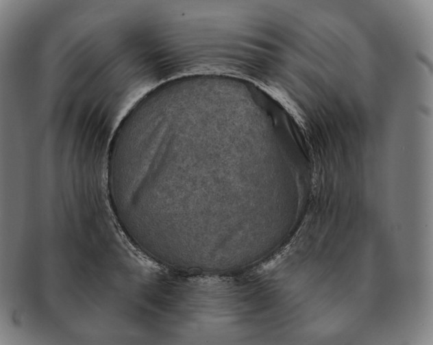 X0000091290896200708241026