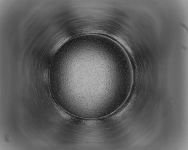 X0000091290897200708241026