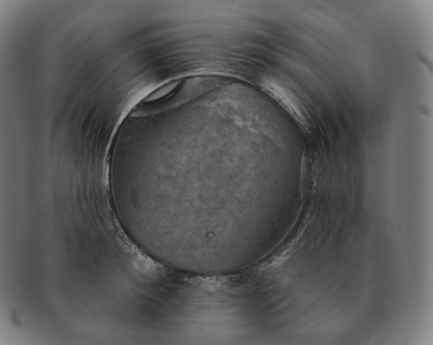 X0000091290900200708241026