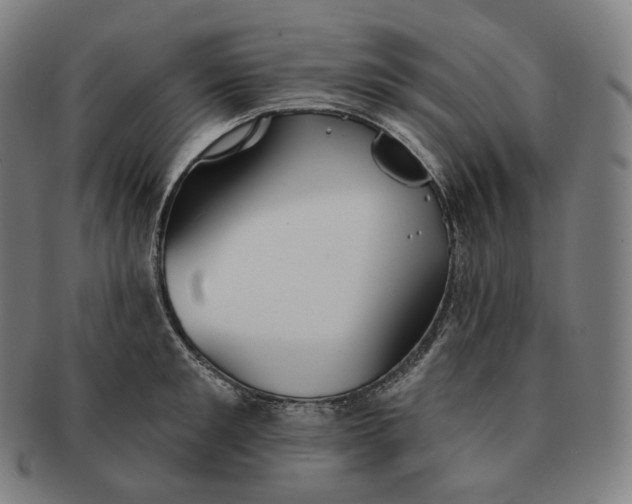 X0000091290901200708241026