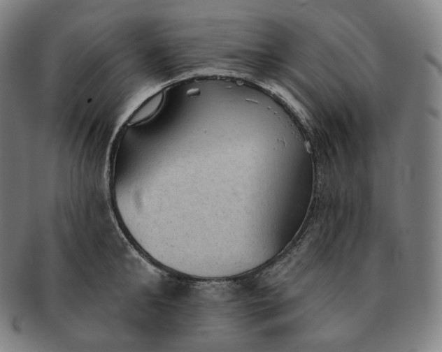 X0000091290902200708241026