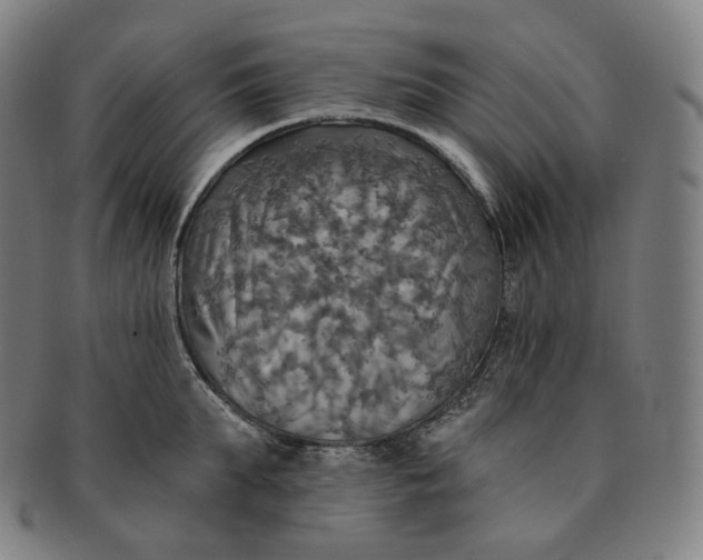 X0000091290903200708241026