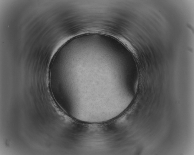 X0000091290904200708241026