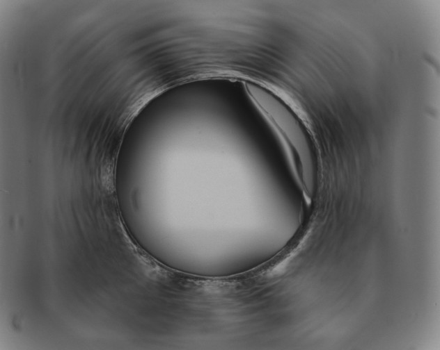 X0000091290905200708241026