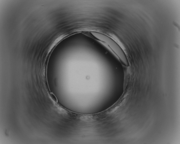 X0000091290909200708241026