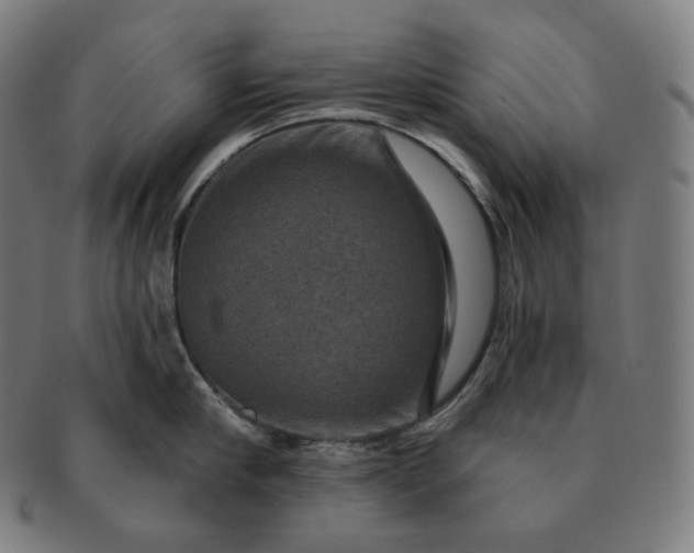 X0000091290910200708241026