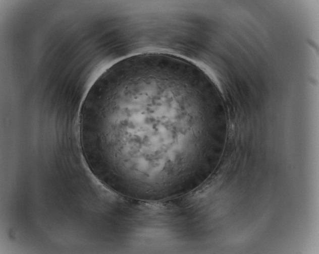 X0000091290911200708241026