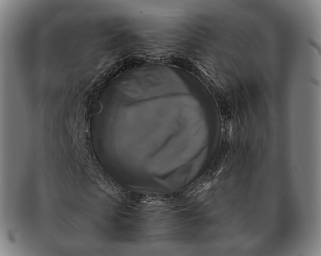 X0000091290913200708241025