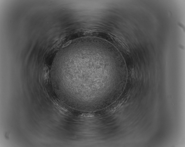 X0000091290914200708241025