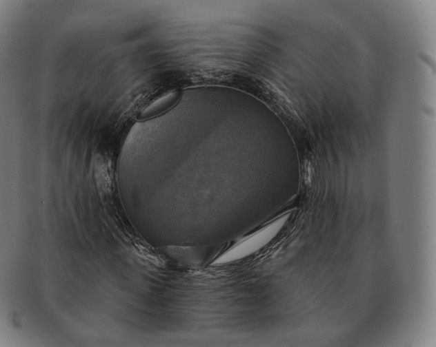 X0000091290915200708241025