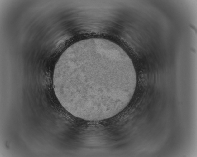 X0000091290918200708241025