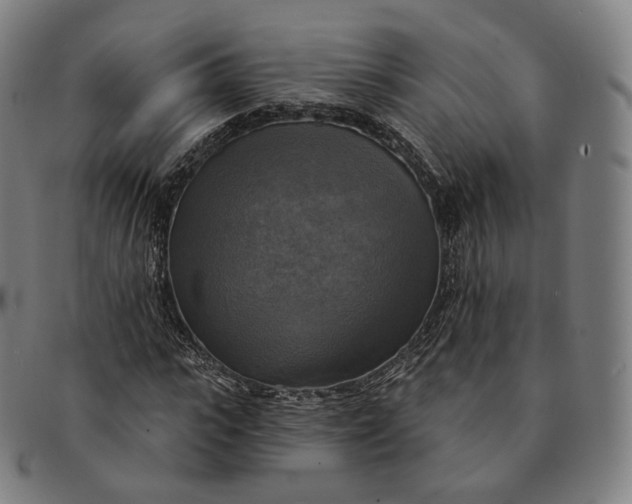 X0000091290919200708241025