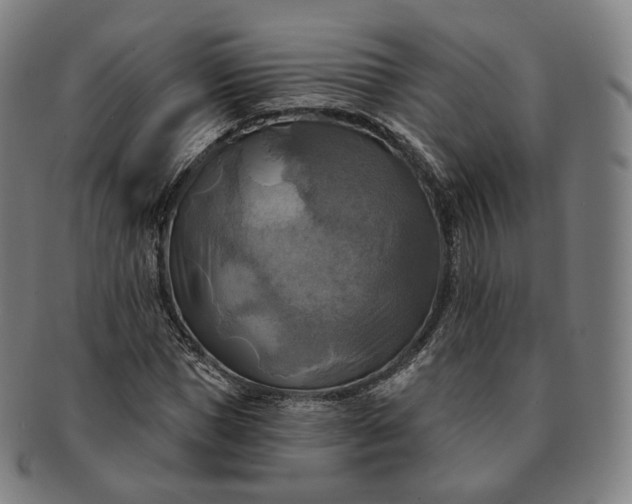 X0000091290921200708241025