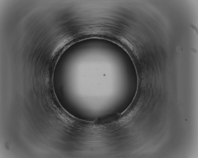 X0000091290922200708241025