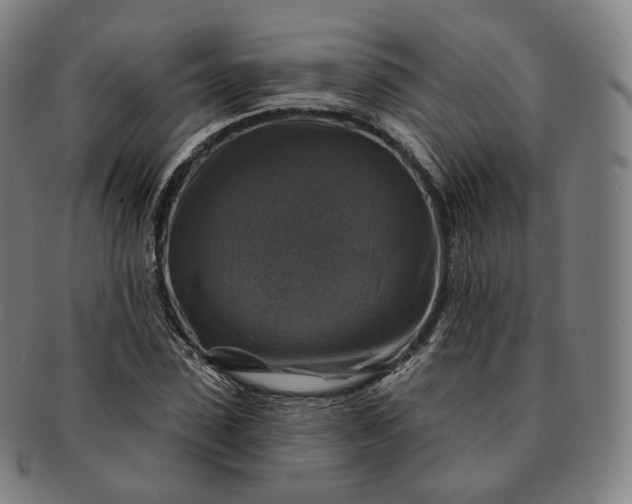 X0000091290923200708241026