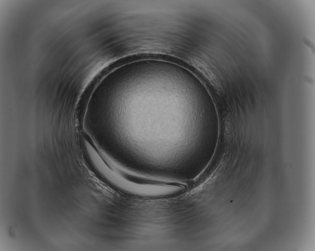 X0000091290926200708241026