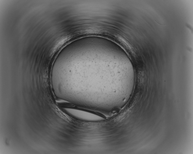 X0000091290930200708241026