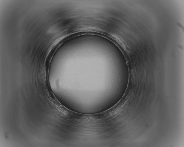 X0000091290931200708241026