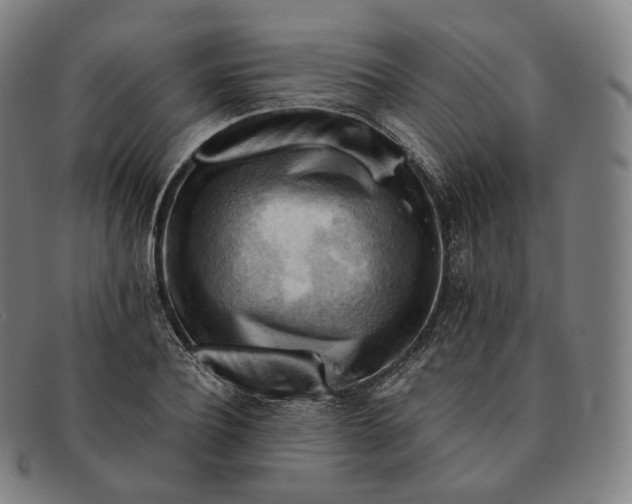 X0000091290932200708241026