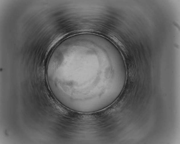 X0000091290933200708241026