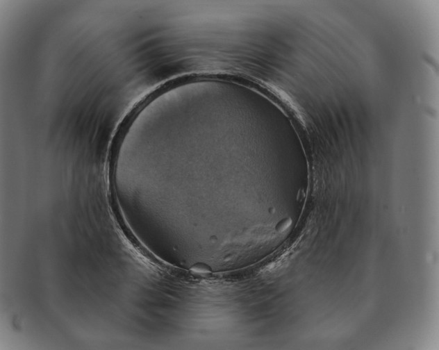 X0000091290935200708241026