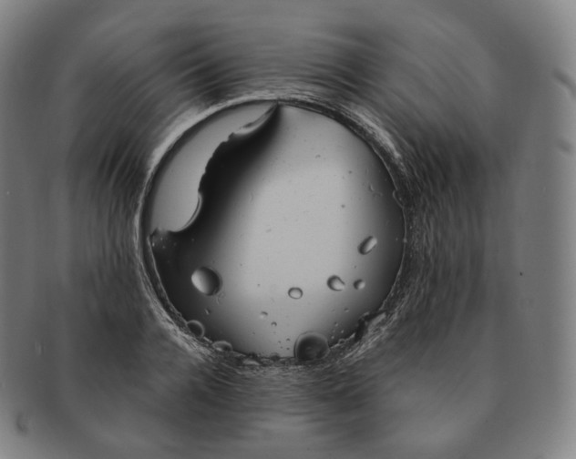 X0000091290936200708241026