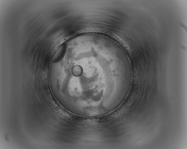 X0000091290937200708241026