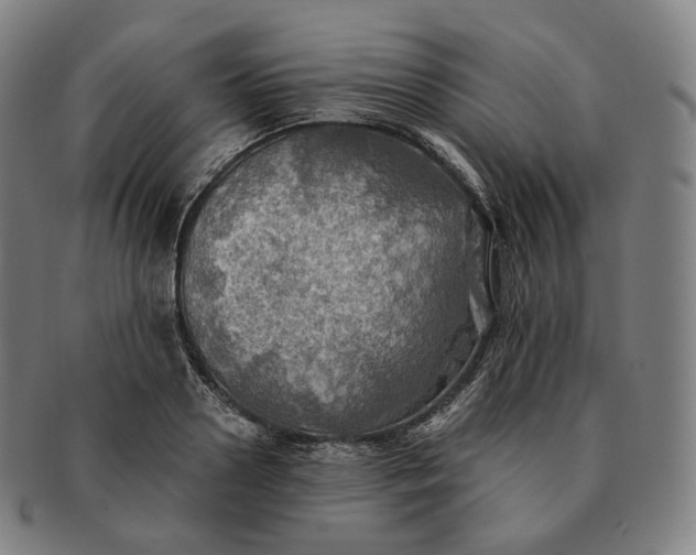 X0000091290938200708241026