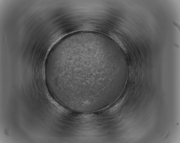 X0000091290939200708241026