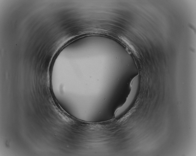 X0000091290940200708241026