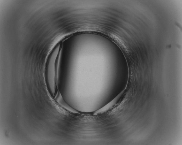 X0000091290942200708241026