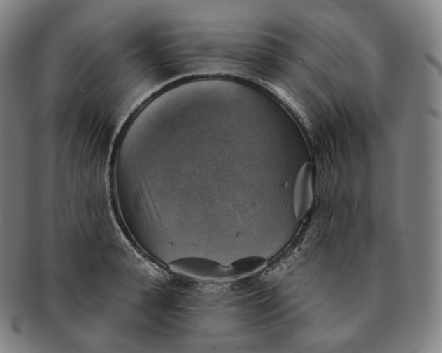 X0000091290943200708241026