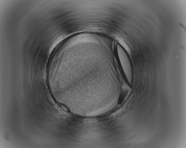 X0000091290944200708241026