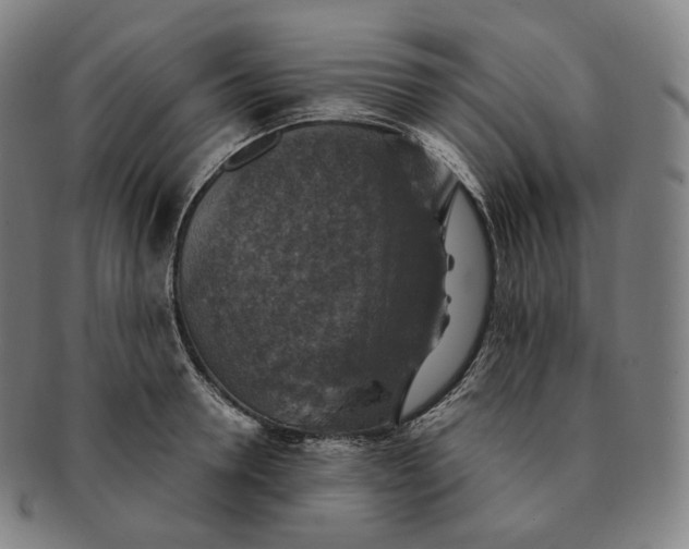 X0000091290946200708241026