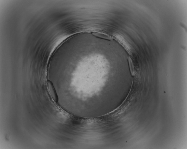 X0000091290948200708241026