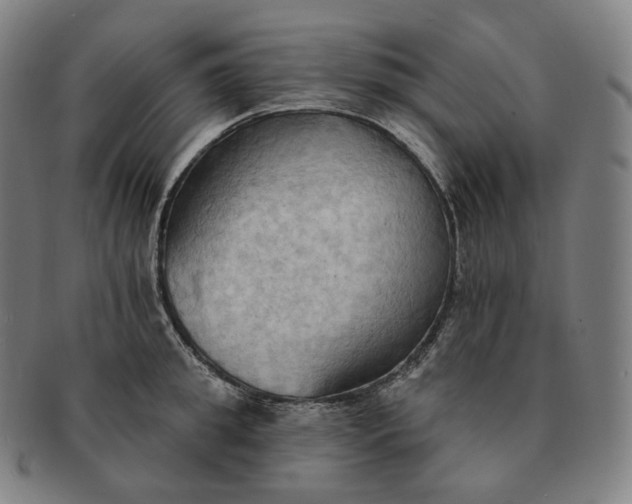 X0000091290949200708241026