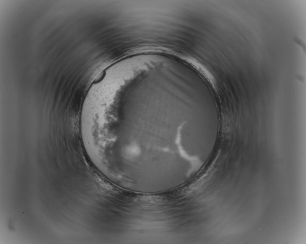 X0000091290953200708241026