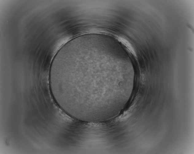 X0000091290954200708241026