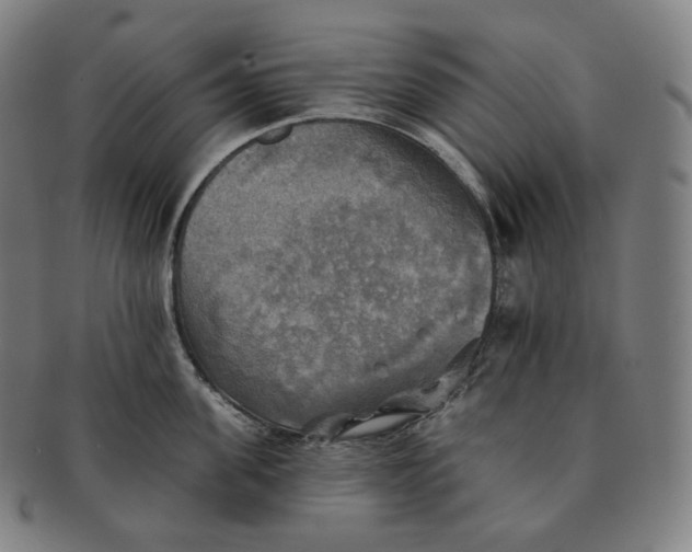 X0000091290955200708241026