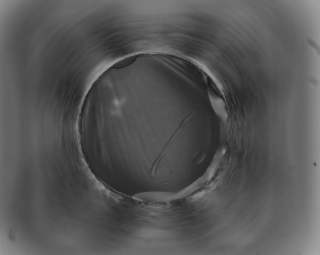 X0000091290959200708241026